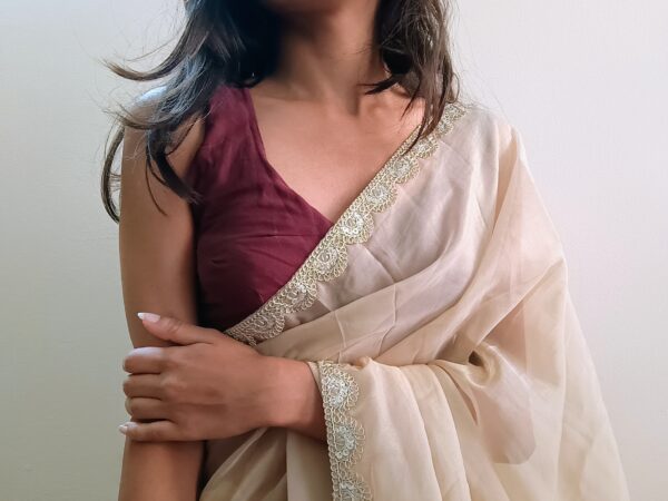 IMG_20250101_120516279_AE Ethereal Beige Tissue Organza Saree