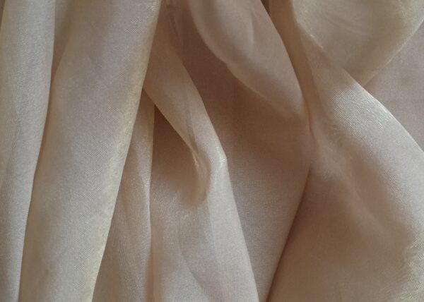 IMG_20250103_093705740_MP (1) Ethereal Beige Tissue Organza Saree